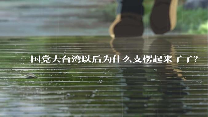国党去台湾以后为什么支楞起来了了？