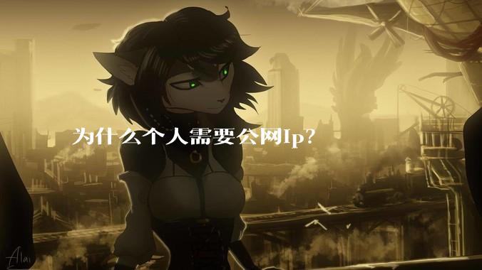 为什么个人需要公网ip？