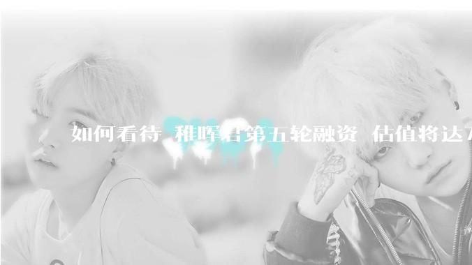 如何看待 稚晖君第五轮融资 估值将达70亿？
