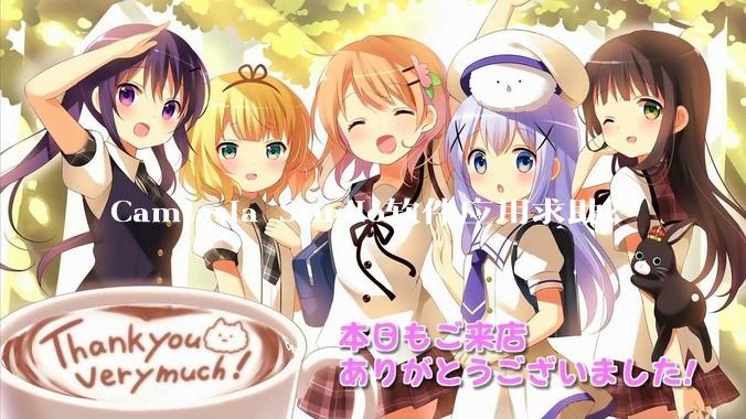 Camtasia Studio软件应用求助？