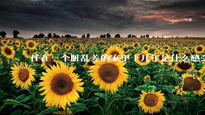 住在一个脏乱差的家里十几年是什么感受？