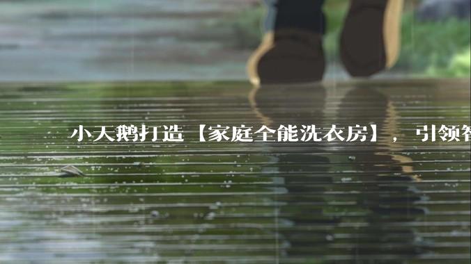 小天鹅打造【家庭全能洗衣房】，引领智能家居新形态