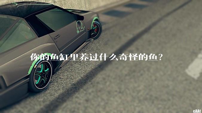 你的鱼缸里养过什么奇怪的鱼？