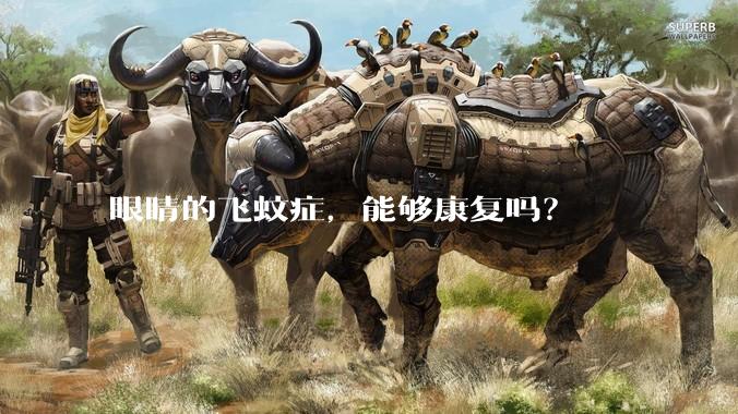 眼睛的飞蚊症，能够康复吗？