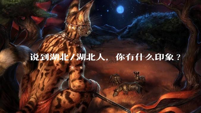 说到湖北/湖北人，你有什么印象?