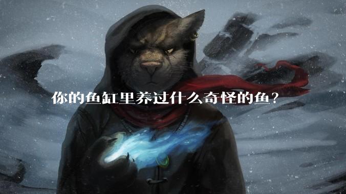 你的鱼缸里养过什么奇怪的鱼？