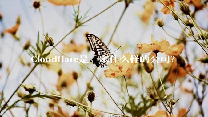 Cloudflare是一家什么样的公司？