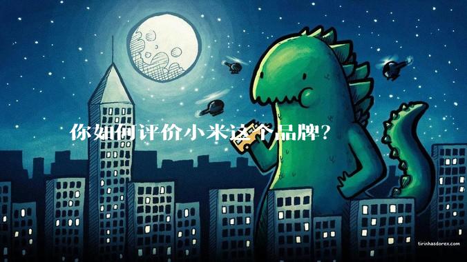 你如何评价小米这个品牌？
