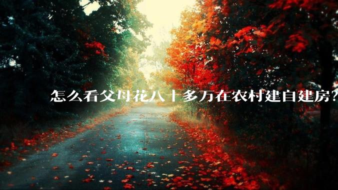 怎么看父母花八十多万在农村建自建房？