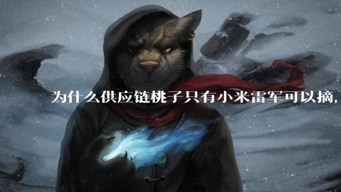 为什么供应链桃子只有小米雷军可以摘，其他人只能干瞪眼？