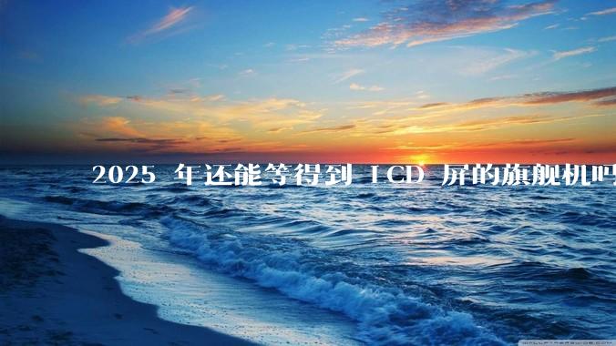 2025 年还能等得到 LCD 屏的旗舰机吗？